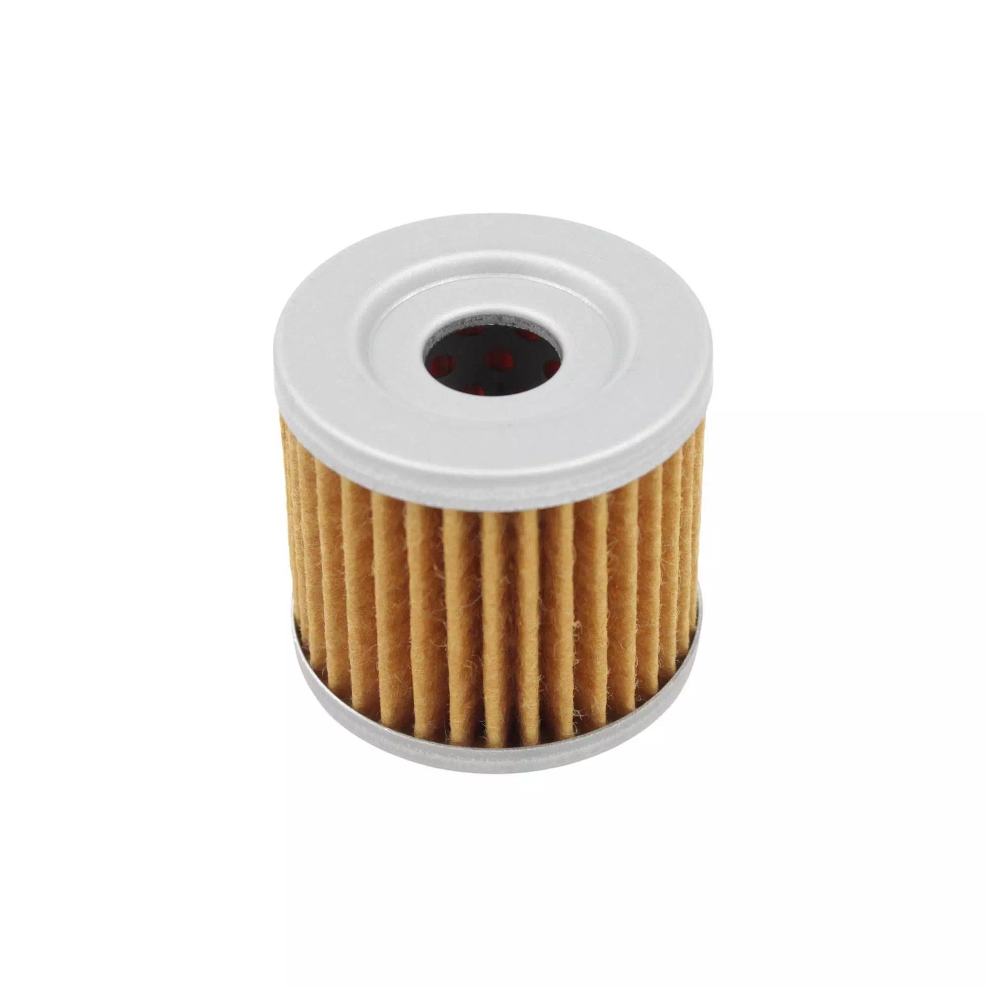 QJ MOTOR SRK 125-R YAĞ FİLTRESİ [SRV125 - SRK125-S - RK125-S - TITANIC 150 - TITANIC150-S] #RK 53765